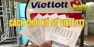 Cách Chơi Xổ Số Vietlott - Cẩm Nang Thách Đấu Cho Người Mới